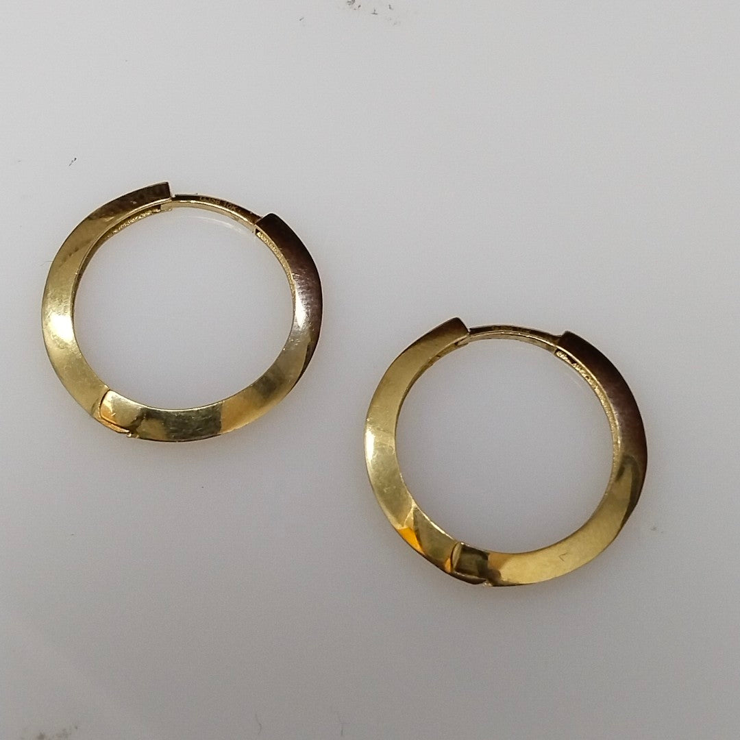 ARRACADAS PAR ORO 10 K 1.9 GRMS (SEMINUEVO)