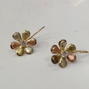 ARETES PAR ORO 10 K 2 GRMS (SEMINUEVO)