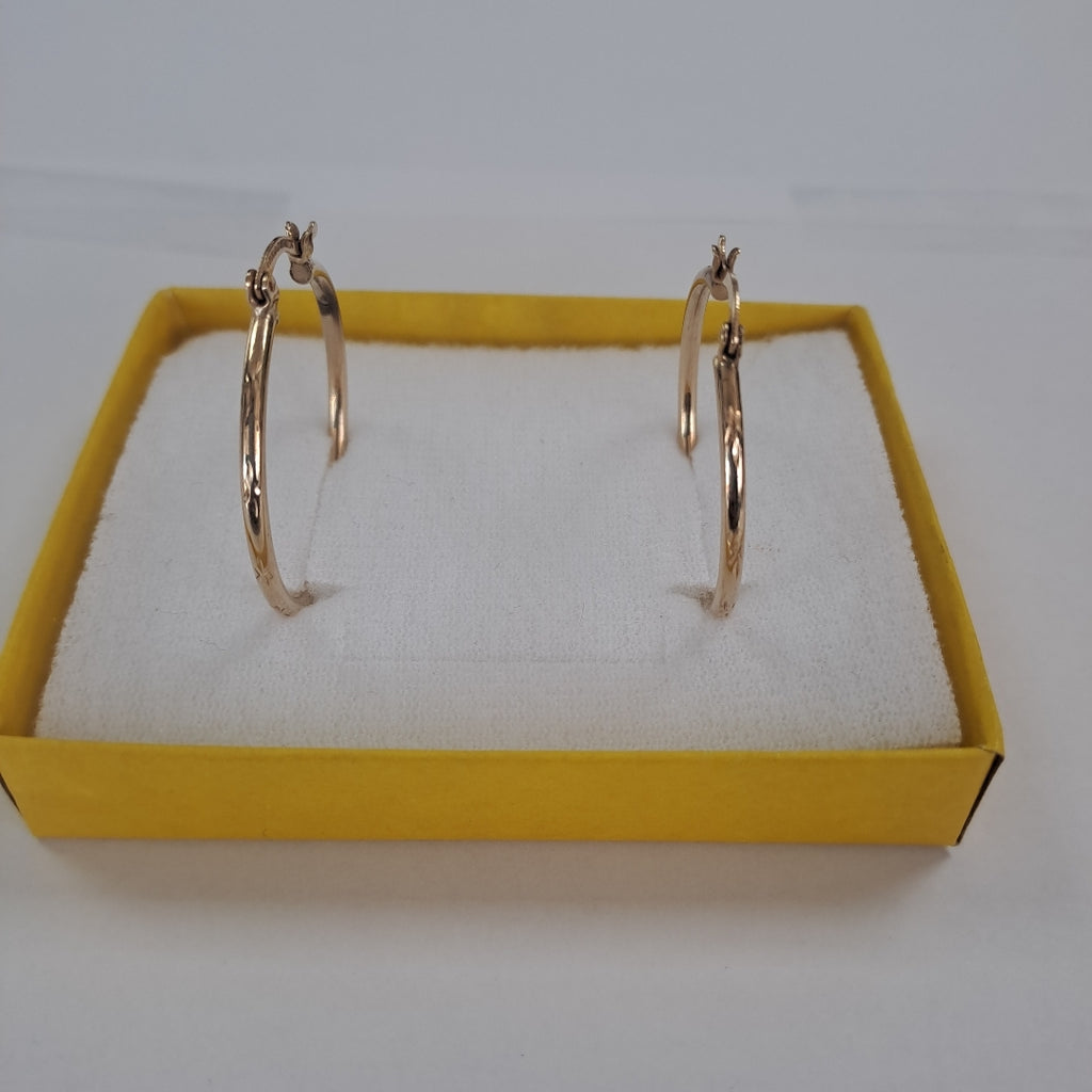 ARRACADAS PAR ORO 10 K 2,80 GRMS (SEMINUEVO)