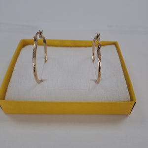 ARRACADAS PAR ORO 10 K 2,80 GRMS (SEMINUEVO)