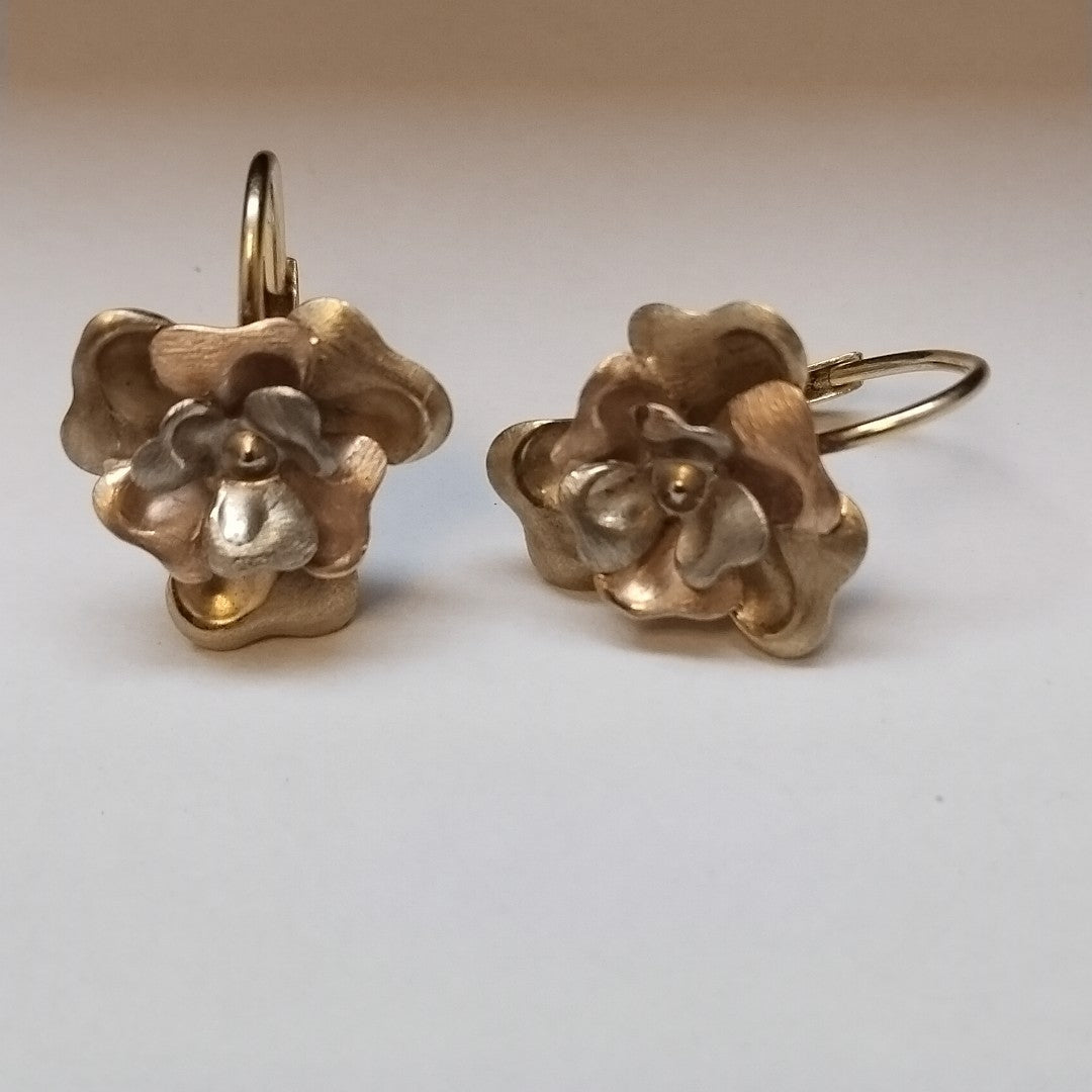 ARETES PAR ORO 10 K 3,30 GRMS (SEMINUEVO)