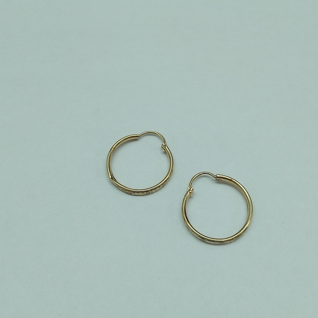 ARRACADAS PAR ORO 10 K 1,80 GRMS (SEMINUEVO)