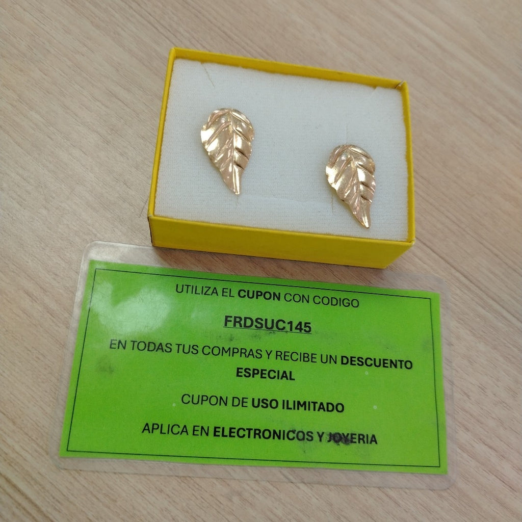 ARETES PAR ORO 10 K 1.3 GRMS (SEMINUEVO)