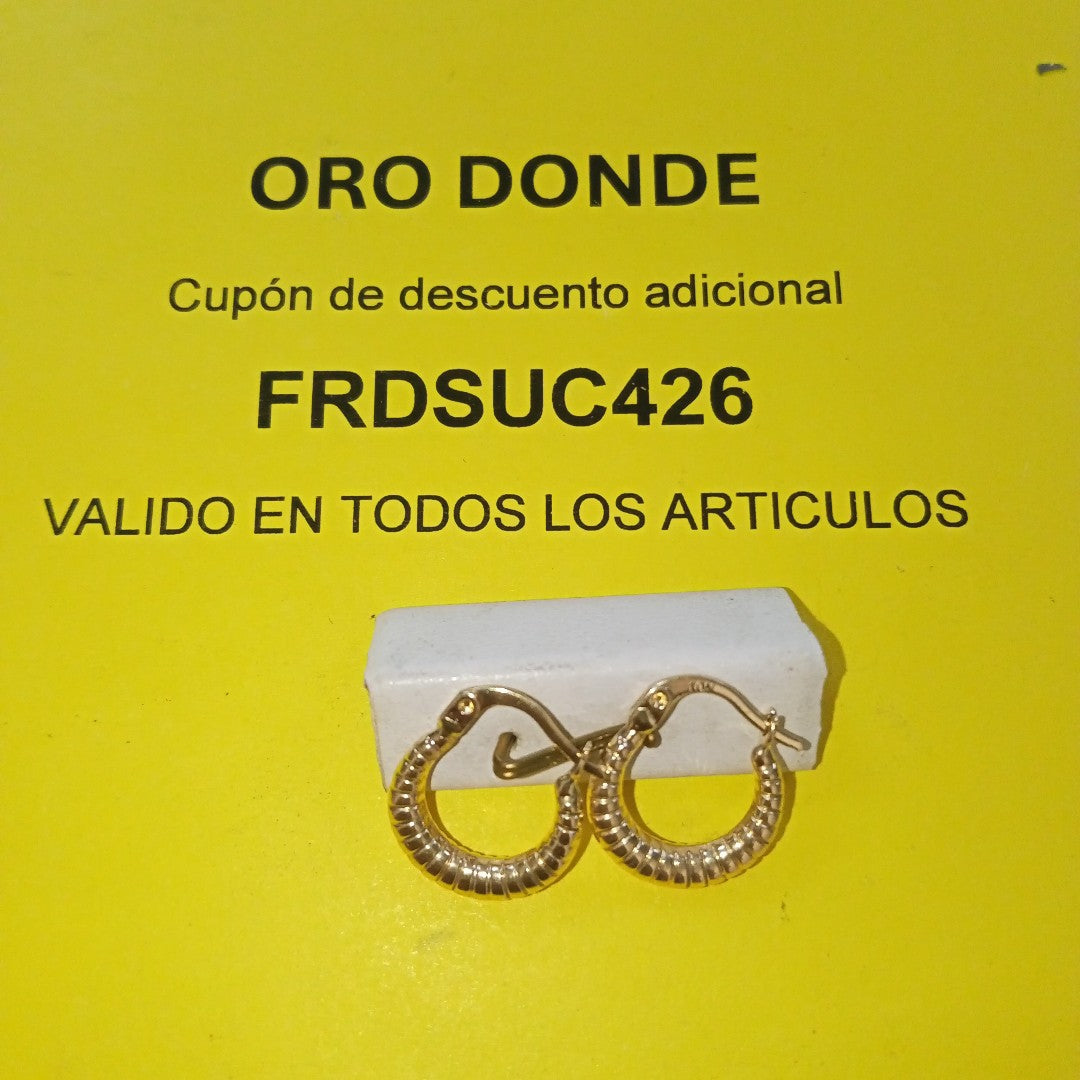 ARRACADAS ORO 10K 1 (NUEVO)