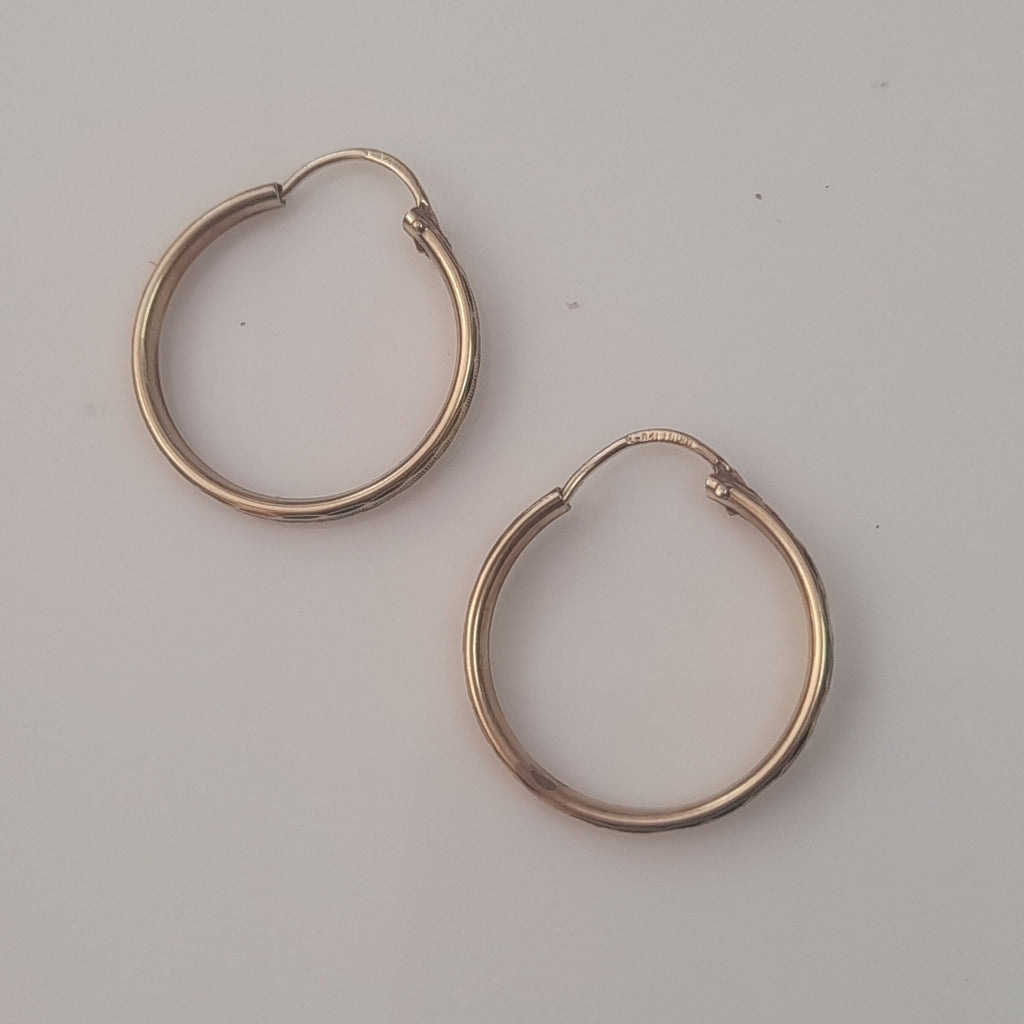ARRACADAS PAR ORO 10 K 1,70 GRMS (SEMINUEVO)