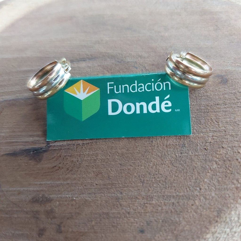 ARRACADAS PAR ORO 10 K 1.1 GRMS (SEMINUEVO)