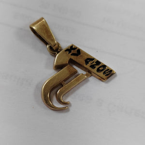 DIJE ORO 14 K 3 GRMS (SEMINUEVO)