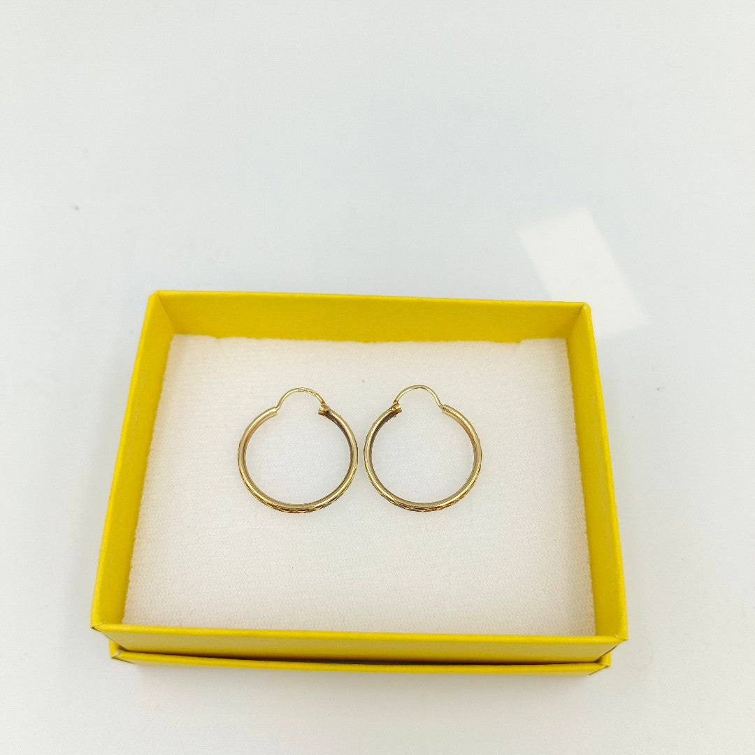 ARRACADAS PAR ORO 10 K 1,70 GRMS (SEMINUEVO)