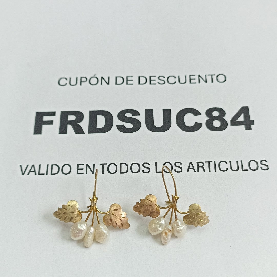 ARETES PAR ORO 10 K 1,50 GRMS (SEMINUEVO)