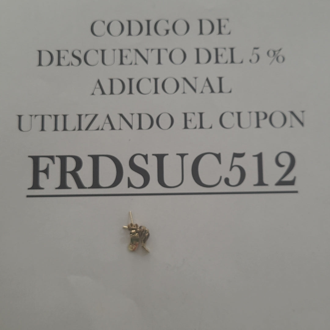 ARETES PAR ORO 10 K 1.2 GRMS (SEMINUEVO)