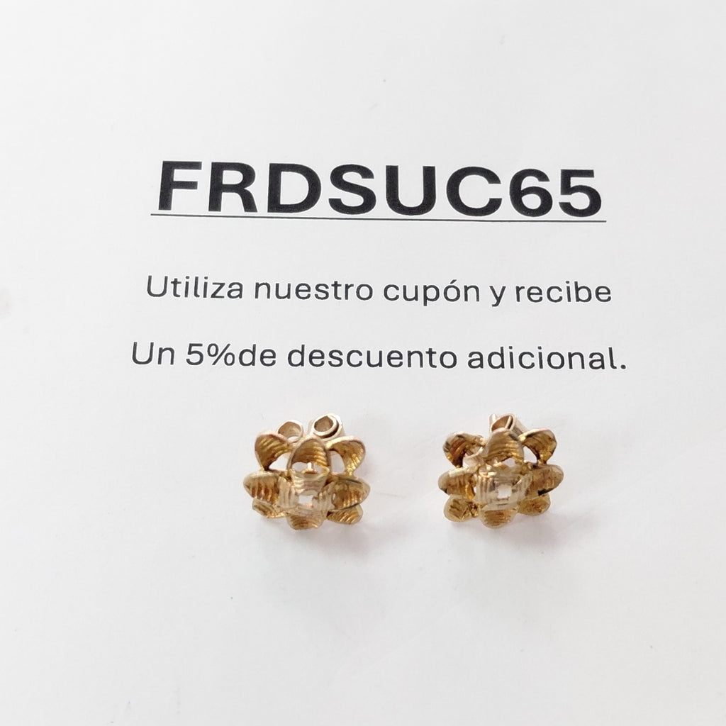 BROQUELES PAR ORO 10 K 2.7 GRMS (SEMINUEVO)