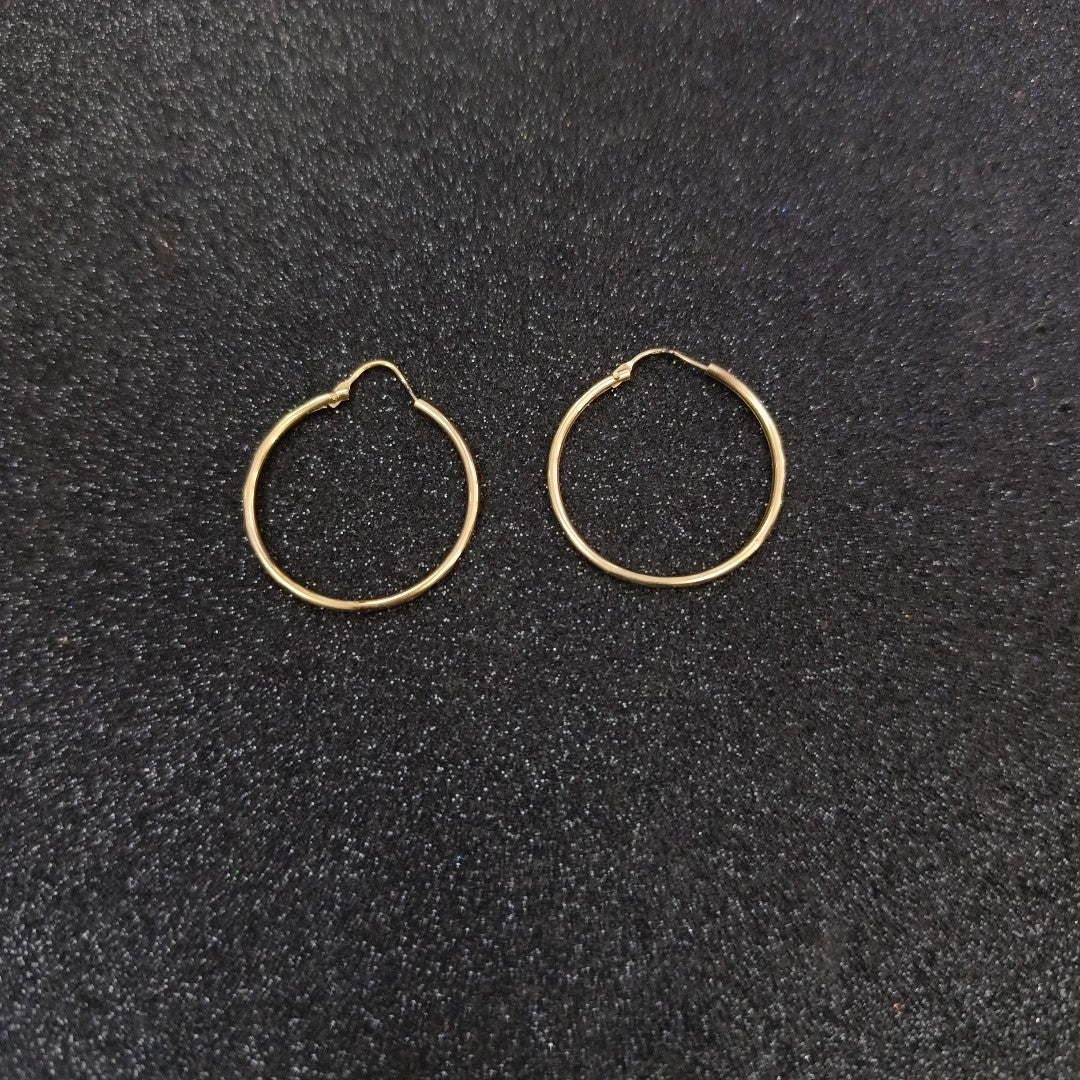 ARETES PAR ORO 10 K 1,90 GRMS (SEMINUEVO)