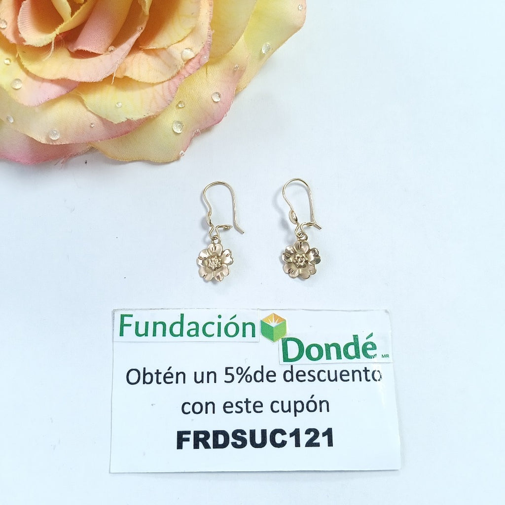 ARETES PAR ORO 10 K 1,20 GRMS (SEMINUEVO)