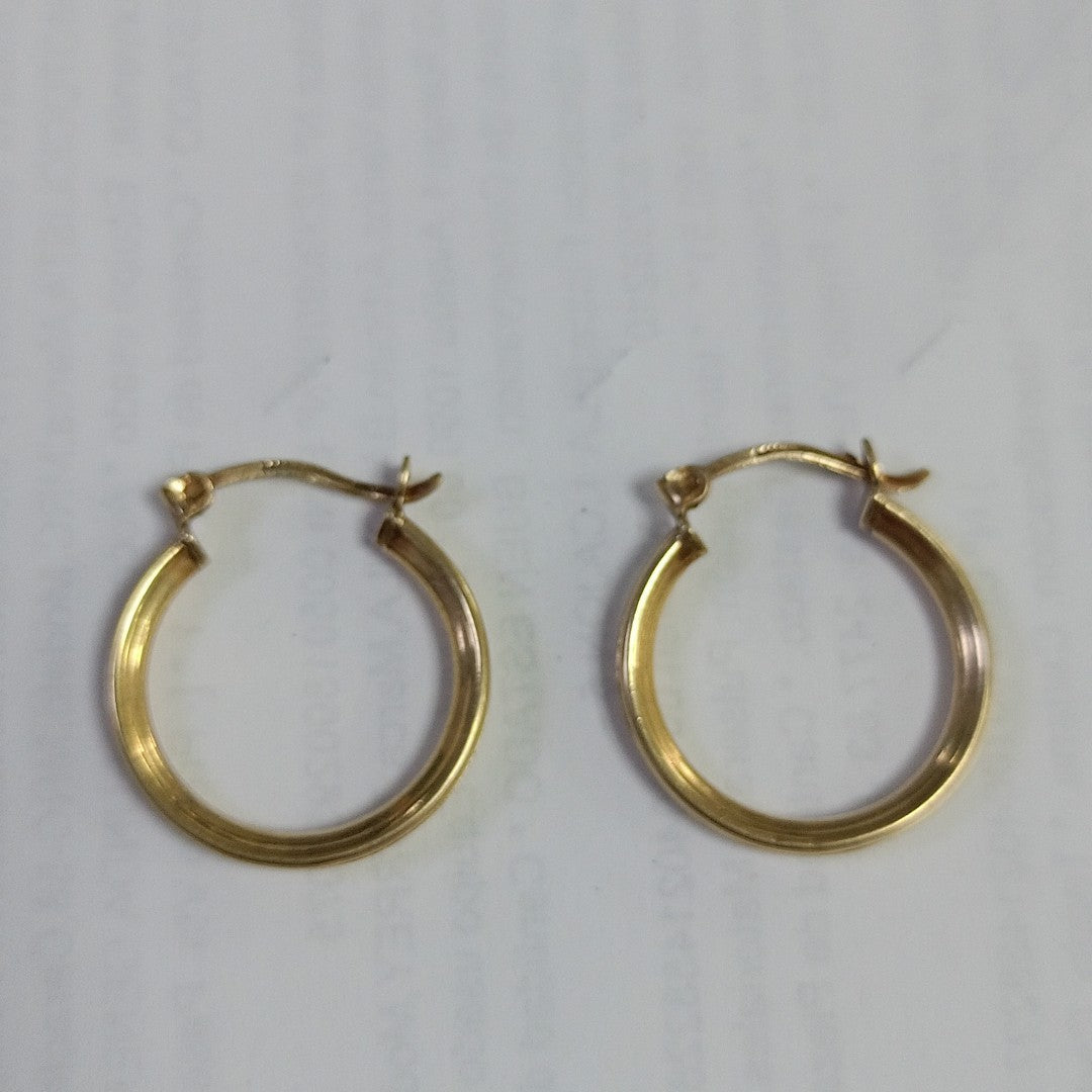 ARRACADAS PAR ORO 10 K 2.8 GRMS (SEMINUEVO)