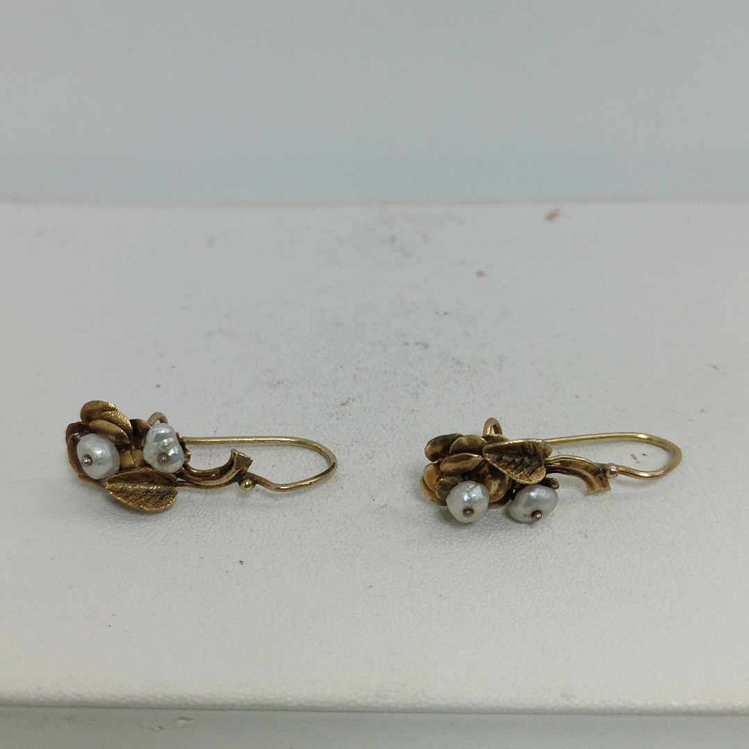 ARETES PAR ORO 10 K 2.1 GRMS (SEMINUEVO)