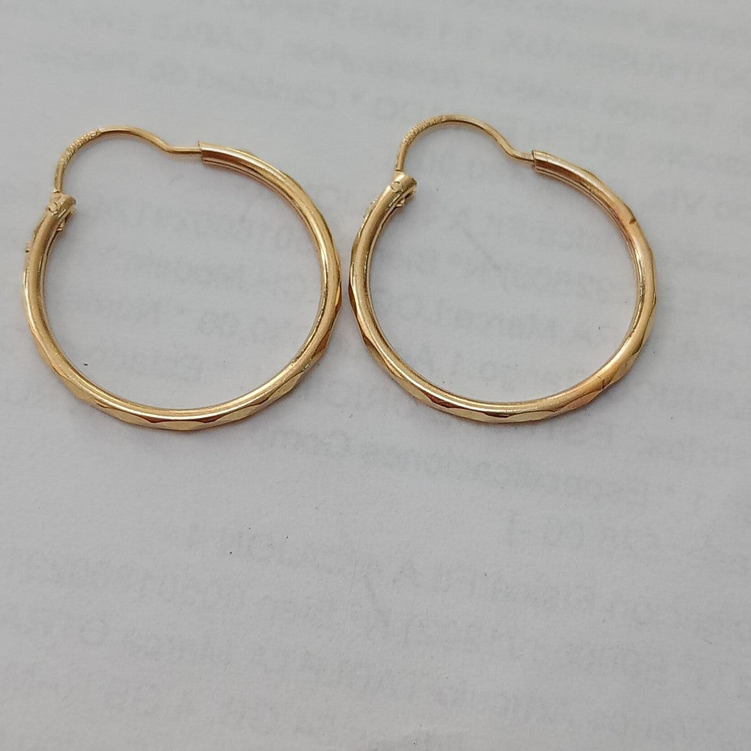 ARRACADAS PAR ORO 10 K 1.4 GRMS (SEMINUEVO)