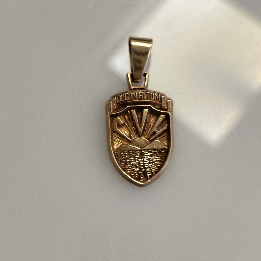 DIJE ORO 10 K 4.1 GRMS (SEMINUEVO)