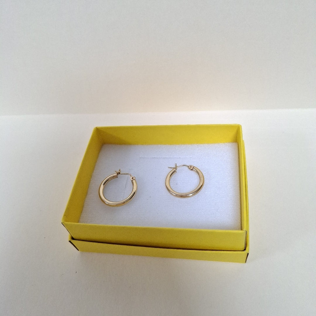 ARRACADAS PAR ORO 14 K 1.2 GRMS (SEMINUEVO)
