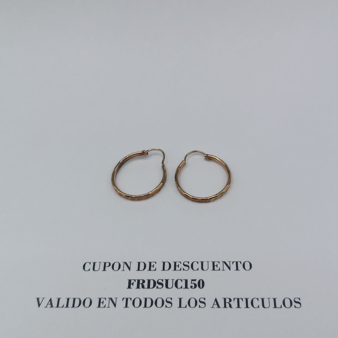 ARRACADAS PAR ORO 10 K 1.8 GRMS (SEMINUEVO)