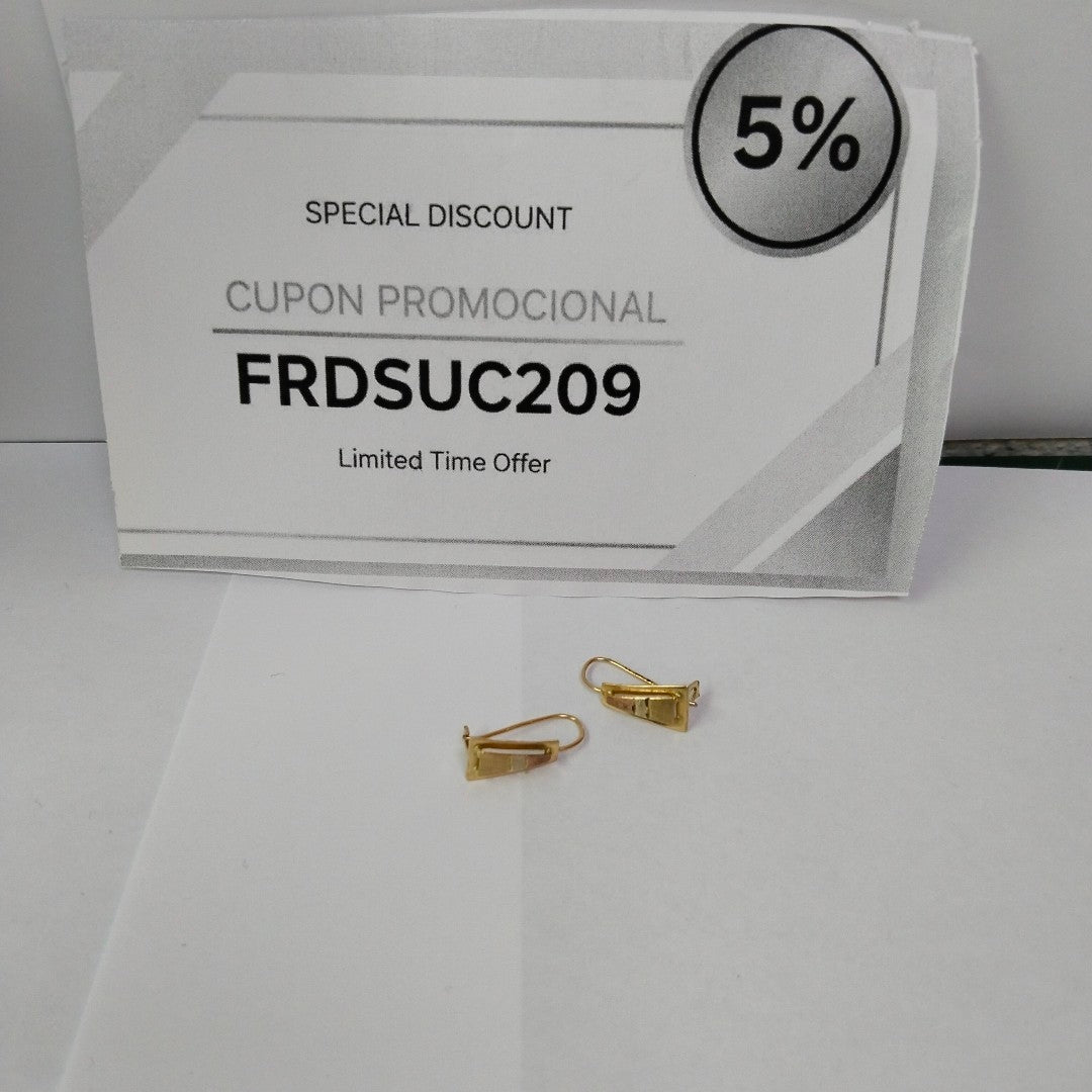 ARETES PAR ORO 10 K 1,10 GRMS (SEMINUEVO)