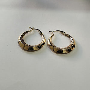 ARRACADAS ORO 14K 2.5 (NUEVO)