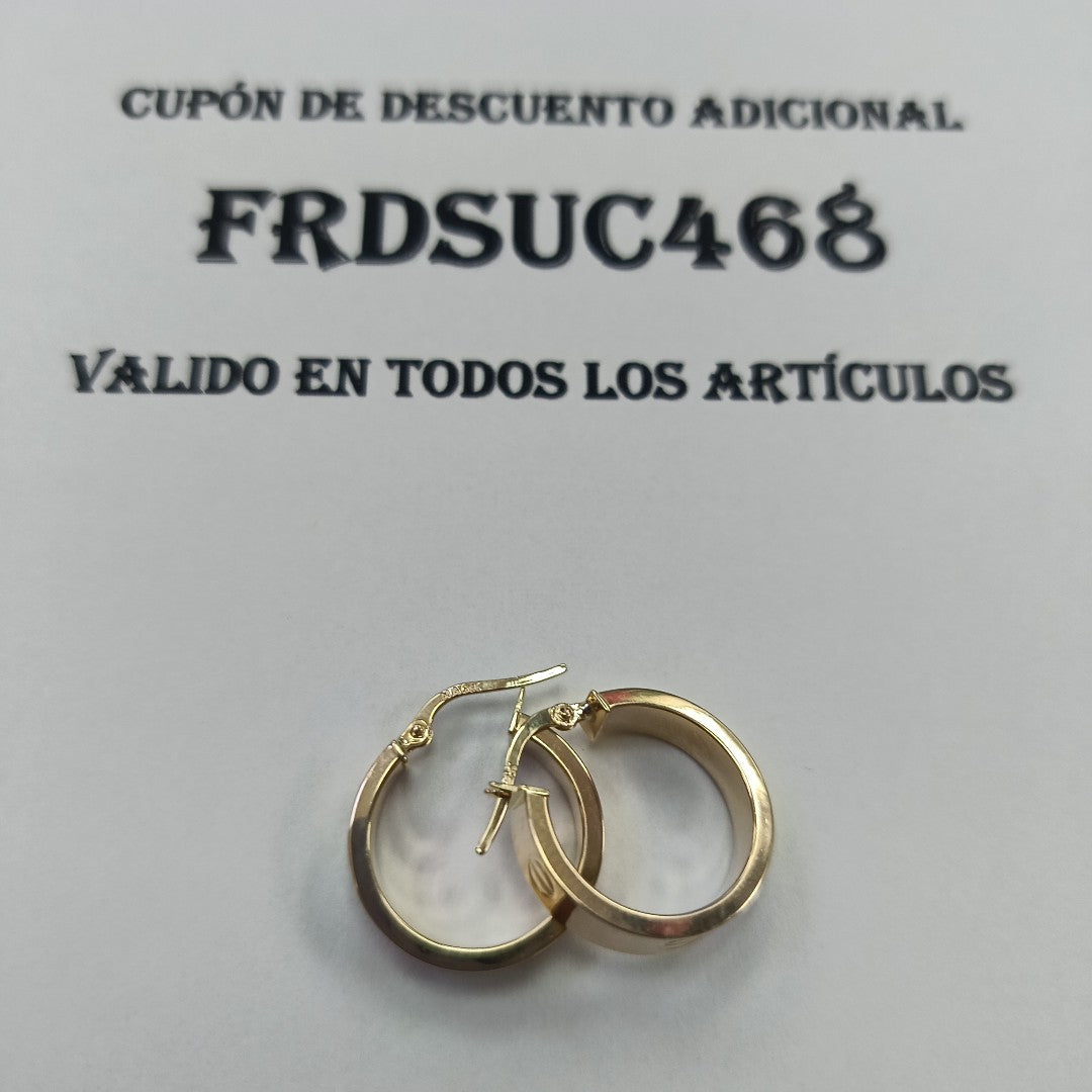 ARRACADAS ORO 14K 2.4 (NUEVO)