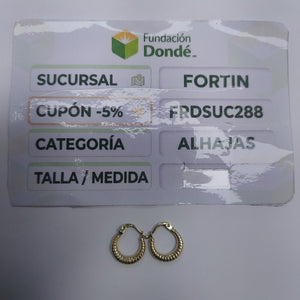ARRACADAS ORO 10K 1 (NUEVO)
