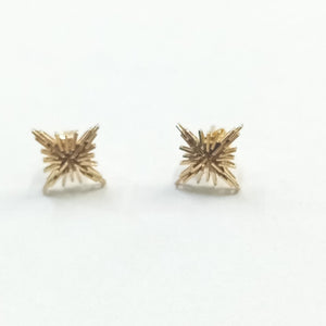 ARETES PAR ORO 14 K 1.4 GRMS (SEMINUEVO)