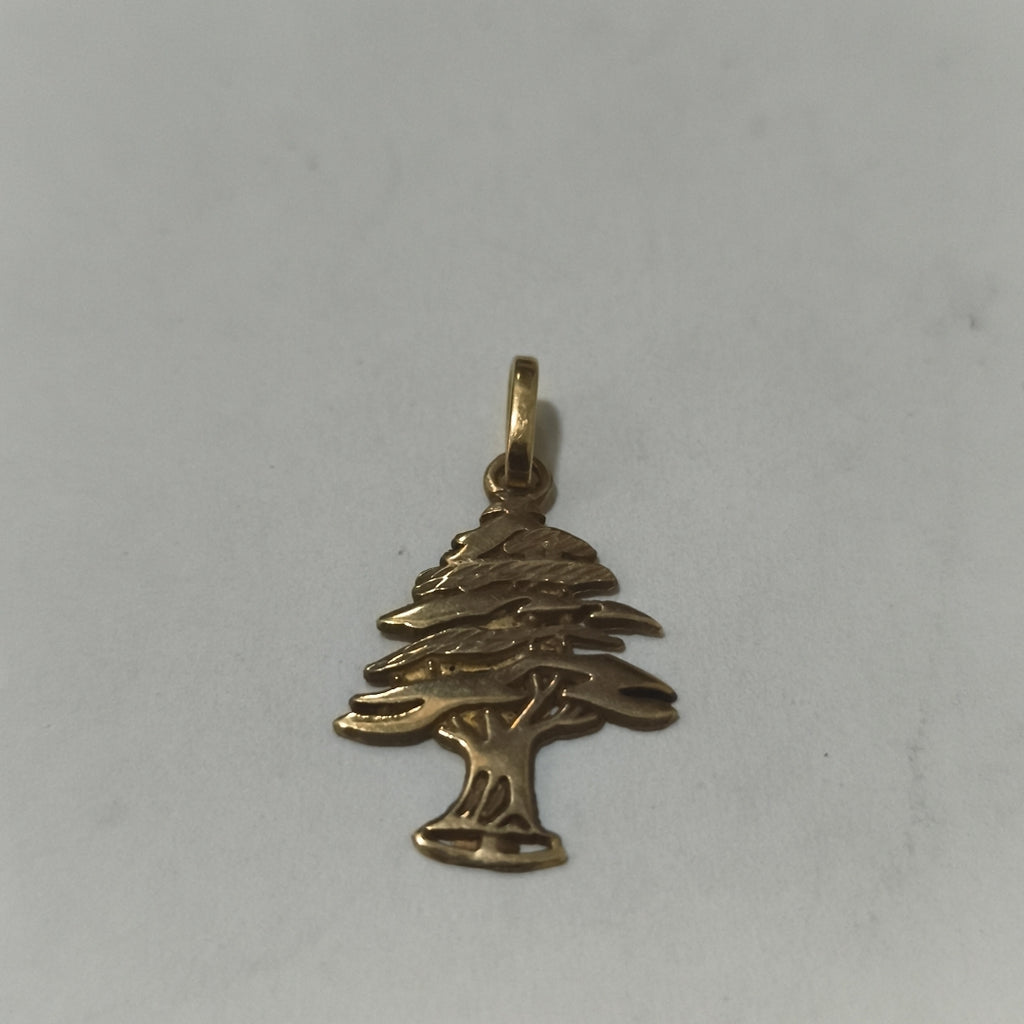 DIJE ORO 10 K 1.9 GRMS (SEMINUEVO)