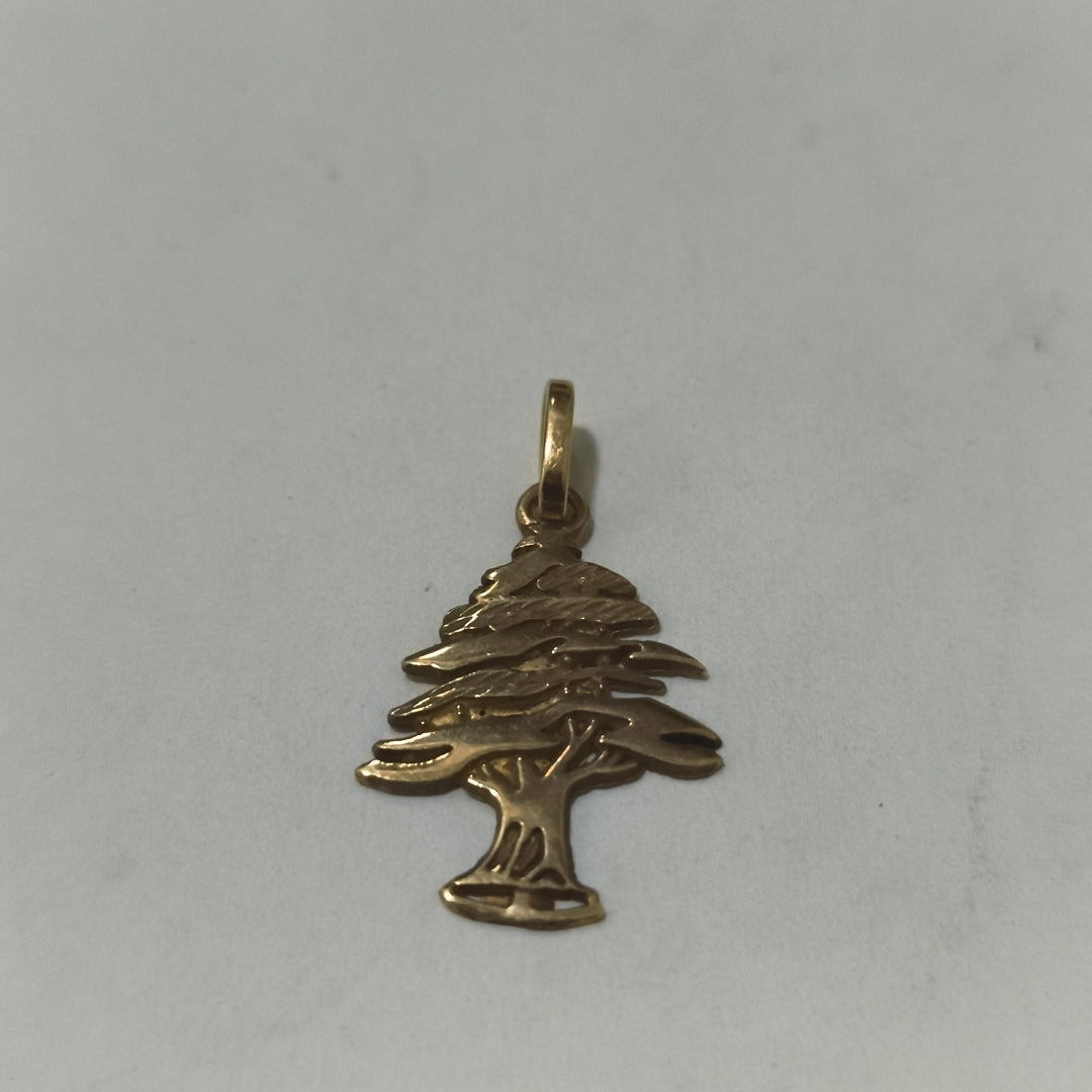 DIJE ORO 10 K 1.9 GRMS (SEMINUEVO)