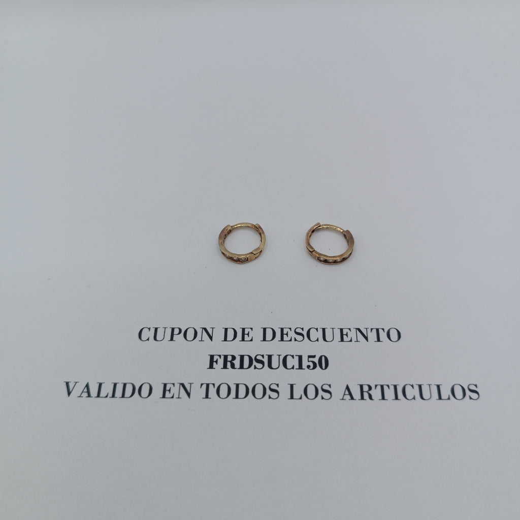 ARETES PAR ORO 10 K 1.1 GRMS (SEMINUEVO)