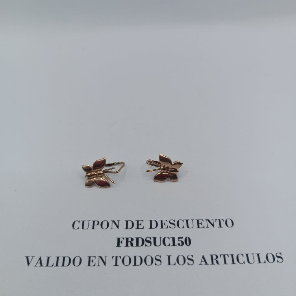 ARETES PAR ORO 10 K 1.4 GRMS (SEMINUEVO)