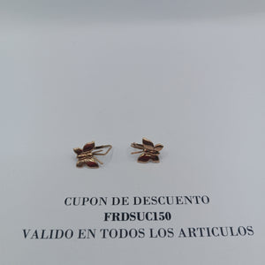 ARETES PAR ORO 10 K 1.4 GRMS (SEMINUEVO)