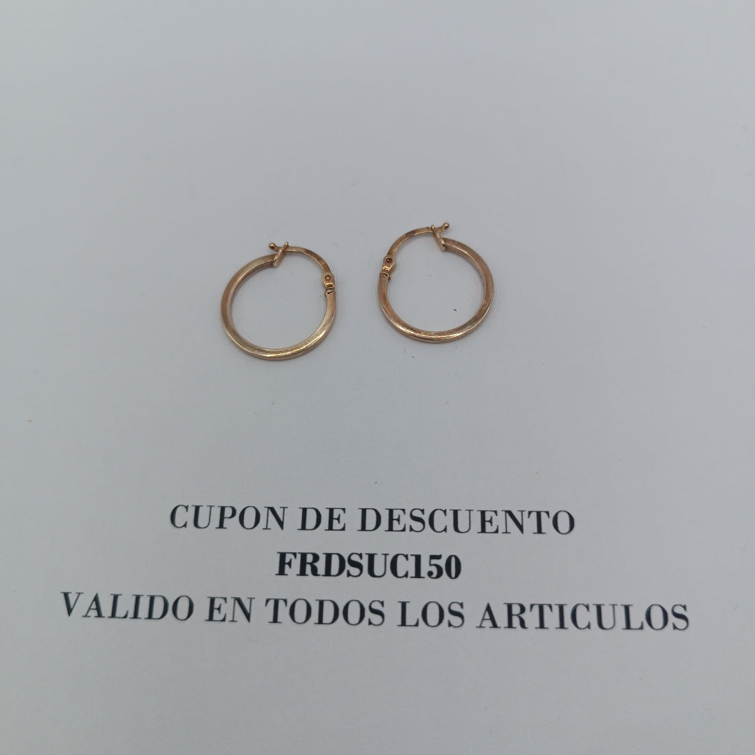 ARETES PAR ORO 10 K 1.1 GRMS (SEMINUEVO)