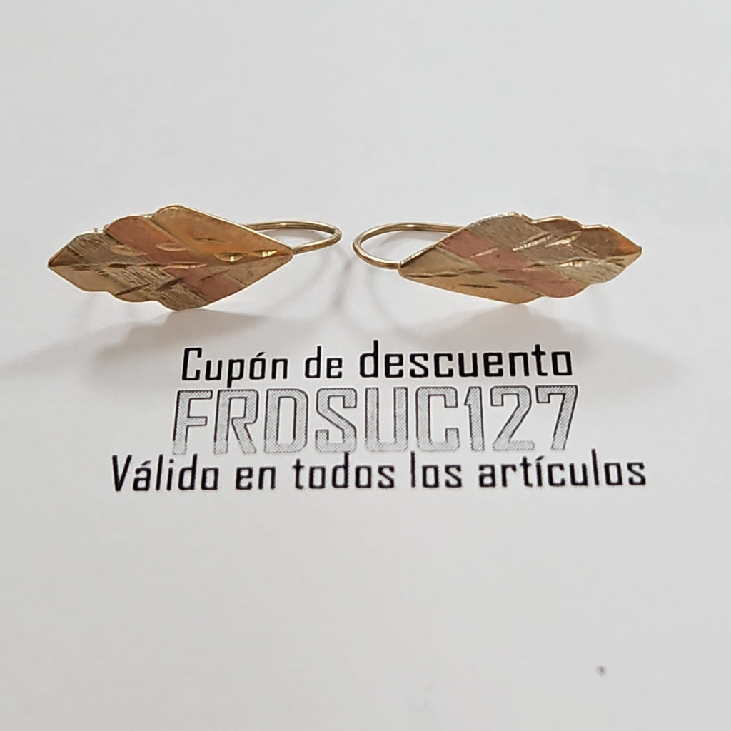 ARETES PAR ORO 10 K 0,90 GRMS (SEMINUEVO)