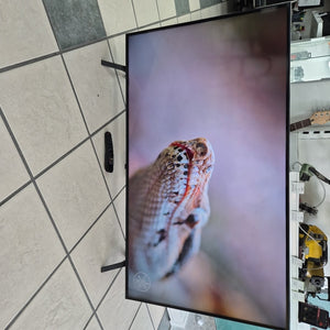 PANTALLA LG 55NANO77SRA (2023) 55" NANOCELL  4K (SEMINUEVO)
