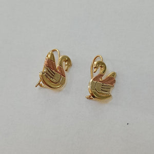 ARETES PAR ORO 10 K 1.1 GRMS (SEMINUEVO)