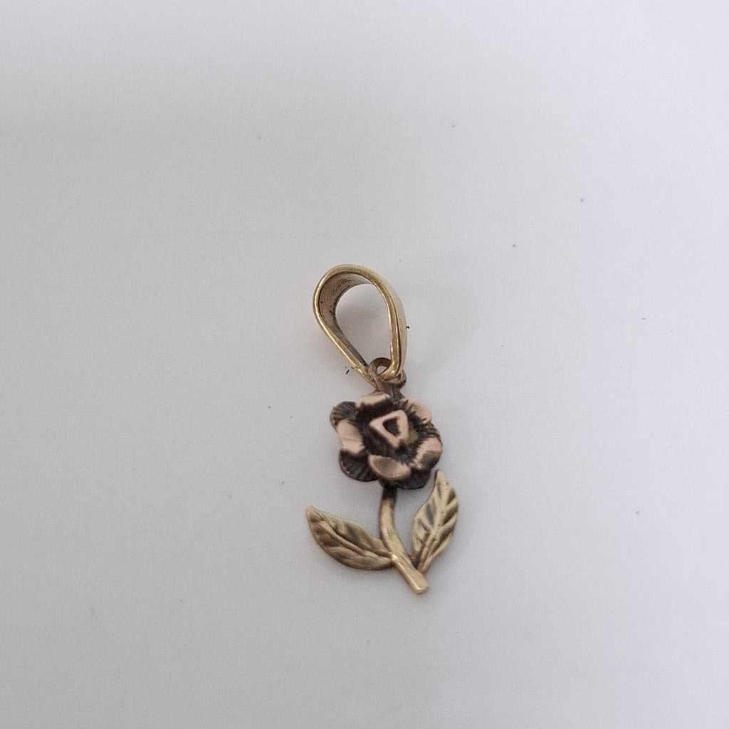 DIJE ORO 10 K 0,90 GRMS (SEMINUEVO)