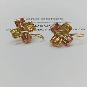 ARETES PAR ORO 10 K 2,90 GRMS (SEMINUEVO)