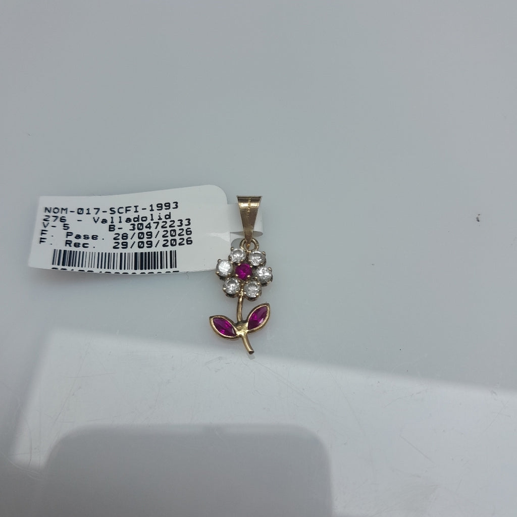 DIJE ORO 10 K 0.9 GRMS (SEMINUEVO)