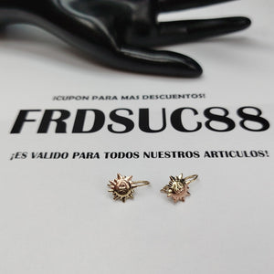 ARETES PAR ORO 10 K 1,00 GRMS (SEMINUEVO)