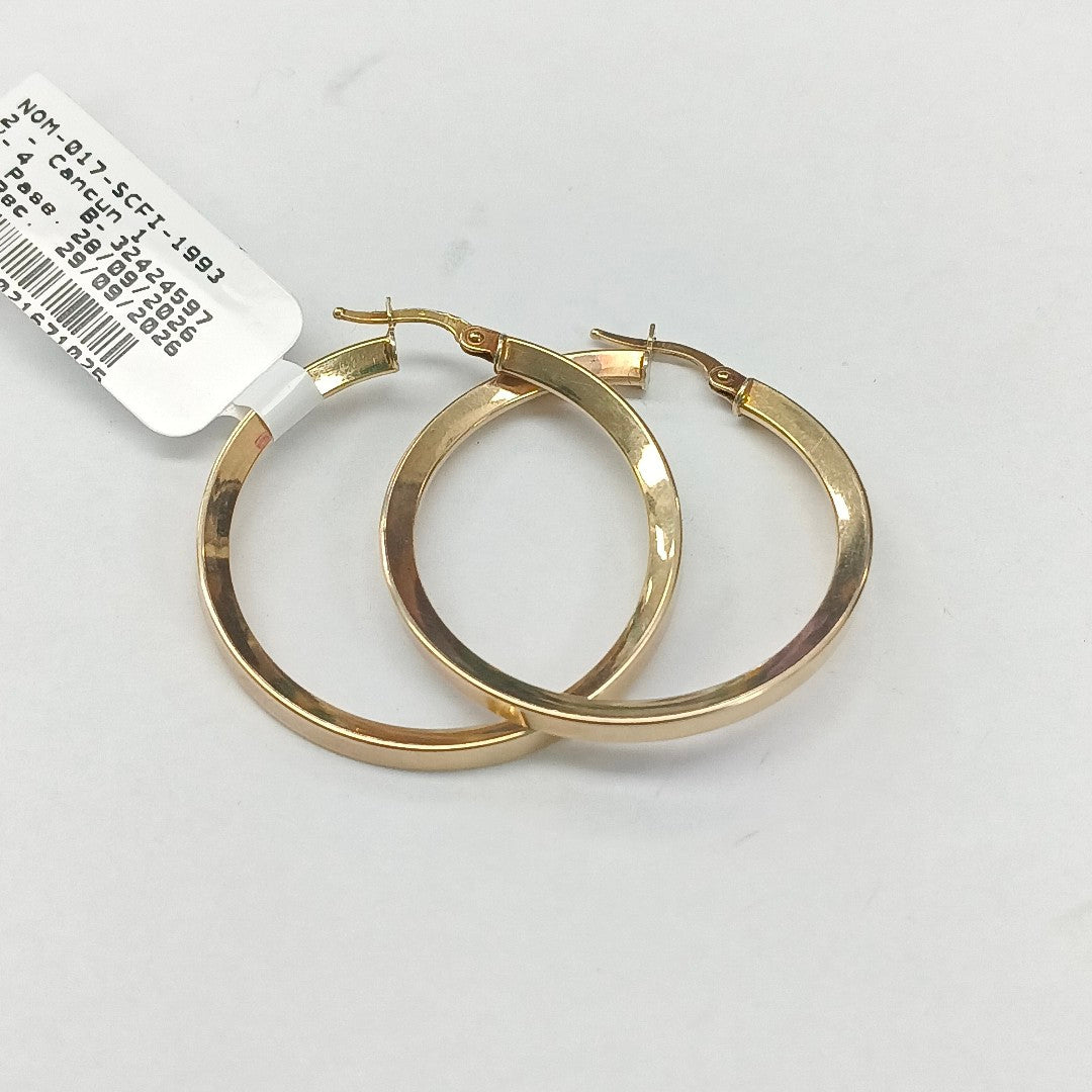 ARRACADAS PAR ORO 10 K 2,70 GRMS (SEMINUEVO)