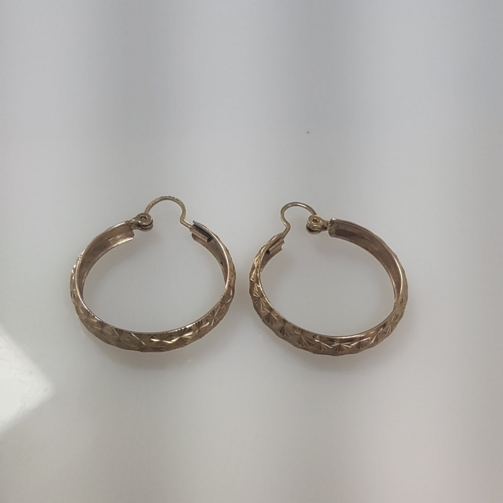ARRACADAS PAR ORO 10 K 2,70 GRMS (SEMINUEVO)