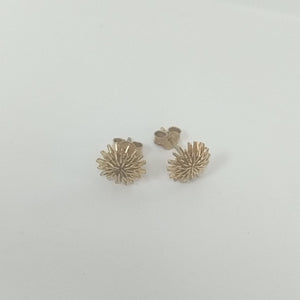 BROQUELES PAR ORO 10 K 1.6 GRMS (SEMINUEVO)