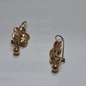 ARETES PAR ORO 10 K 2.4 GRMS (SEMINUEVO)