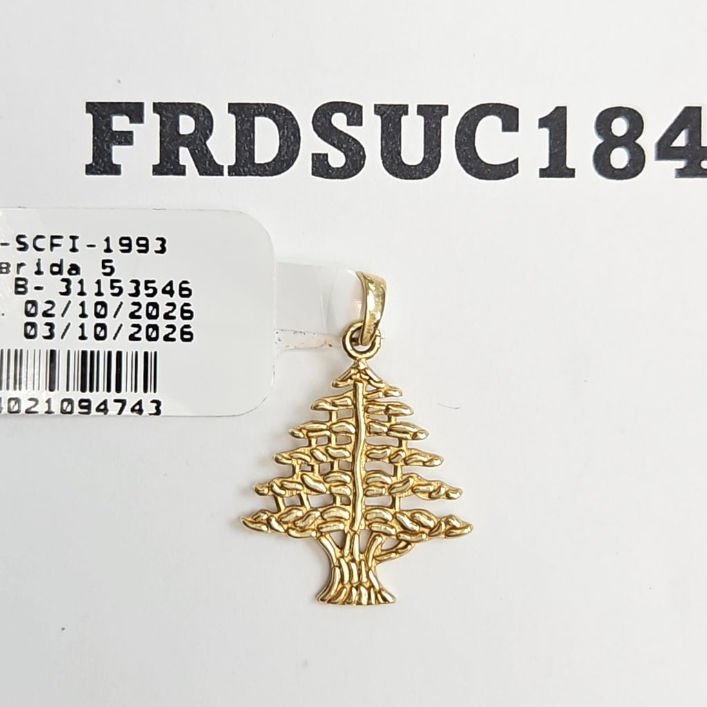 DIJE ORO 10 K 1.4 GRMS (SEMINUEVO)
