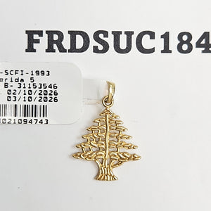 DIJE ORO 10 K 1.4 GRMS (SEMINUEVO)