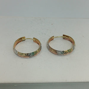 ARRACADAS PAR ORO 14 K 1,90 GRMS (SEMINUEVO)