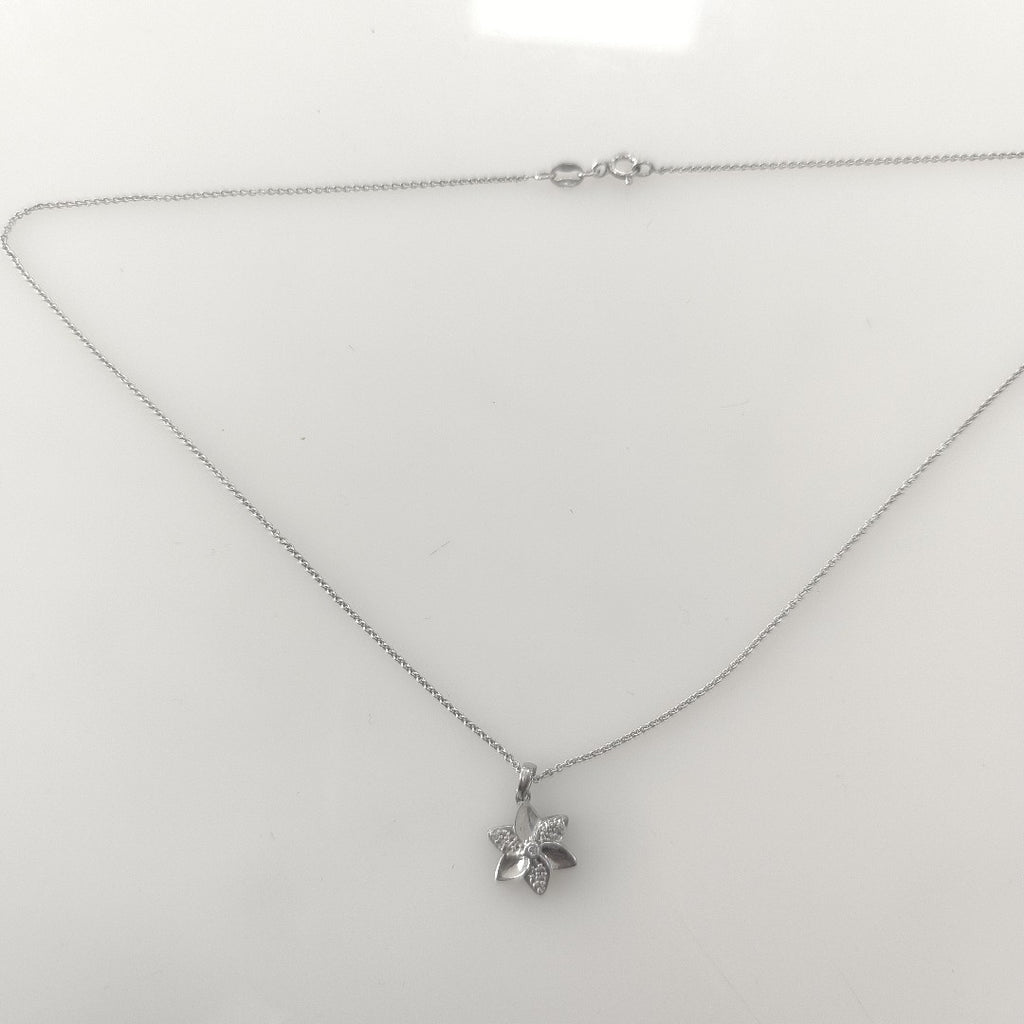 CADENA, DIJE PLATA 2.6 GRMS (SEMINUEVO)