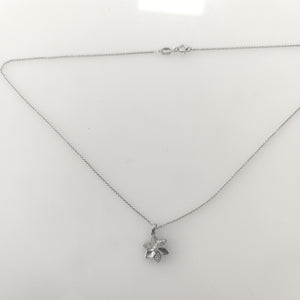 CADENA, DIJE PLATA 2.6 GRMS (SEMINUEVO)